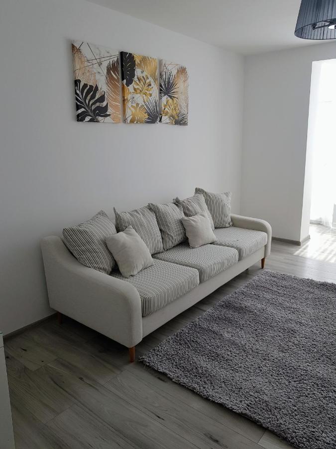 Alexa Apartament Targu Mures Exterior photo